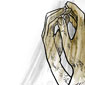 Sample 1