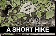 A Short Hike